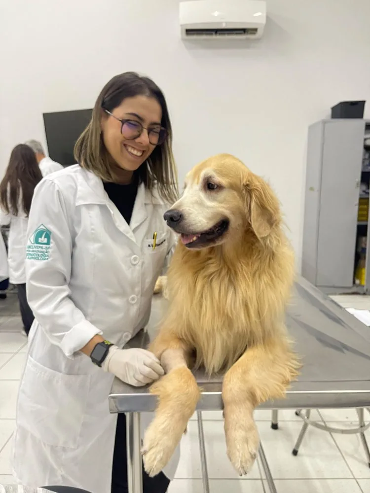 Dra. Vitória com um Golden Retriever na mesa de atendimento