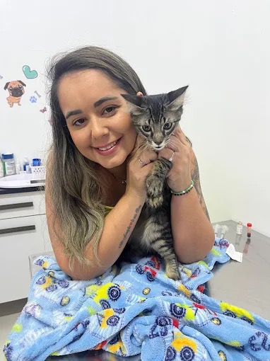 Veterinária Zenvet com filhote tabby sobre cobertor azul