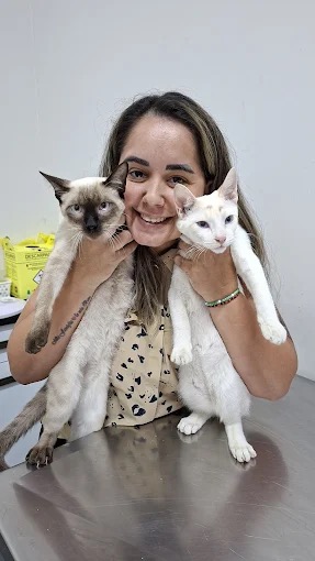 Dra. Nathalia com gato siamês e gato branco sobre maca da clínica